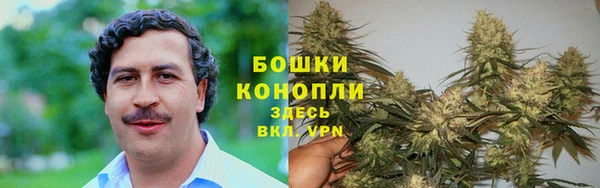 соль ск Богданович