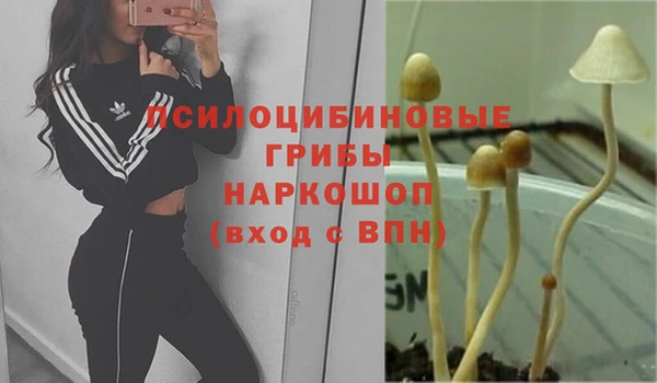 соль ск Богданович
