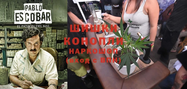 мескалин Богородицк