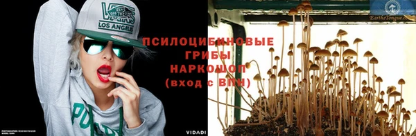 таблы Богородск