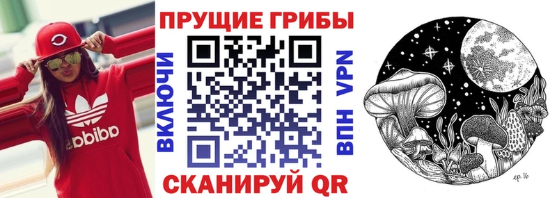 купить  сайты  Краснозаводск  Галлюциногенные грибы мицелий 